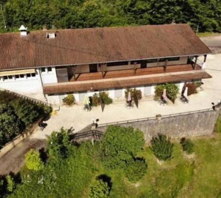 Les Hyacinthes 7 Leilighet Sarlat-la-Canéda Eksteriør bilde